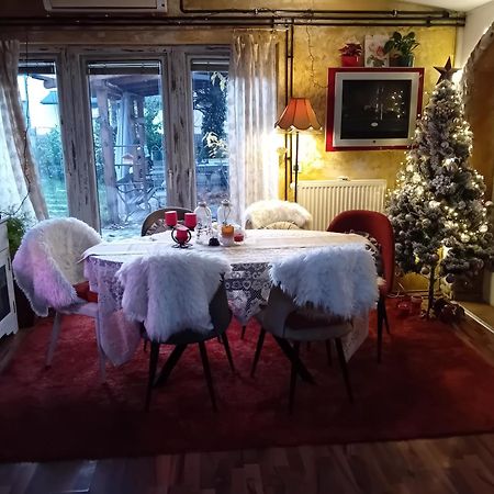 Rose Room 40M2 With Terrace 25M2 In Greeny Area For 4 Person Ljubljana Kültér fotó