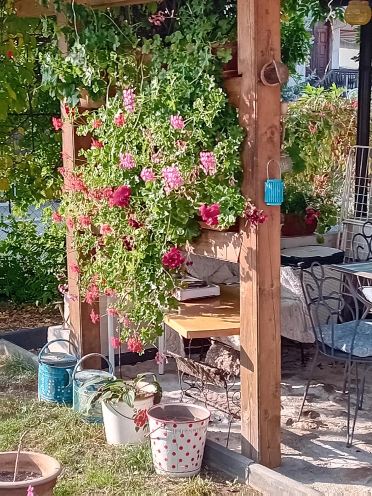 Rose Room 40M2 With Terrace 25M2 In Greeny Area For 4 Person Ljubljana Kültér fotó