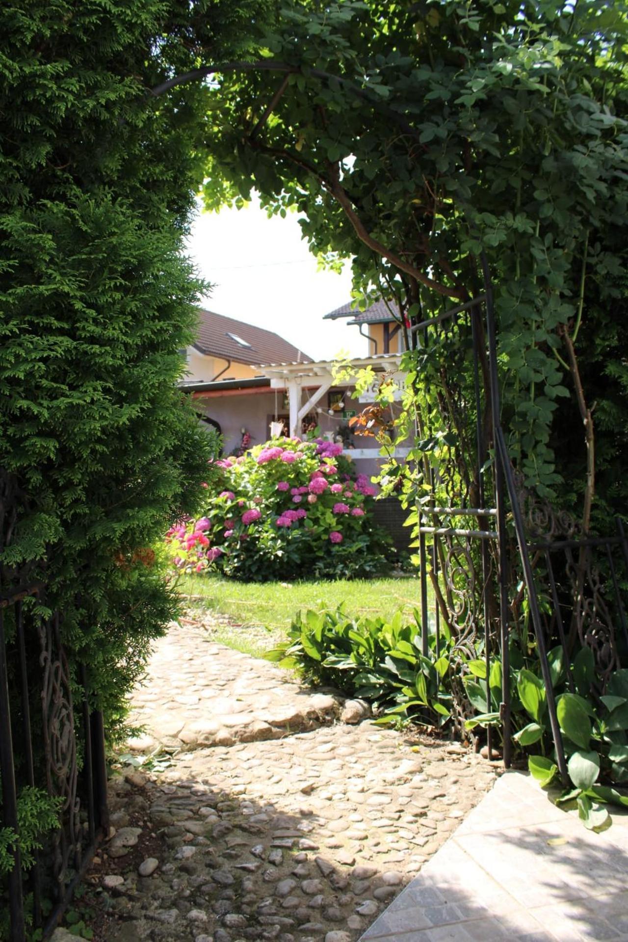 Rose Room 40M2 With Terrace 25M2 In Greeny Area For 4 Person Ljubljana Kültér fotó