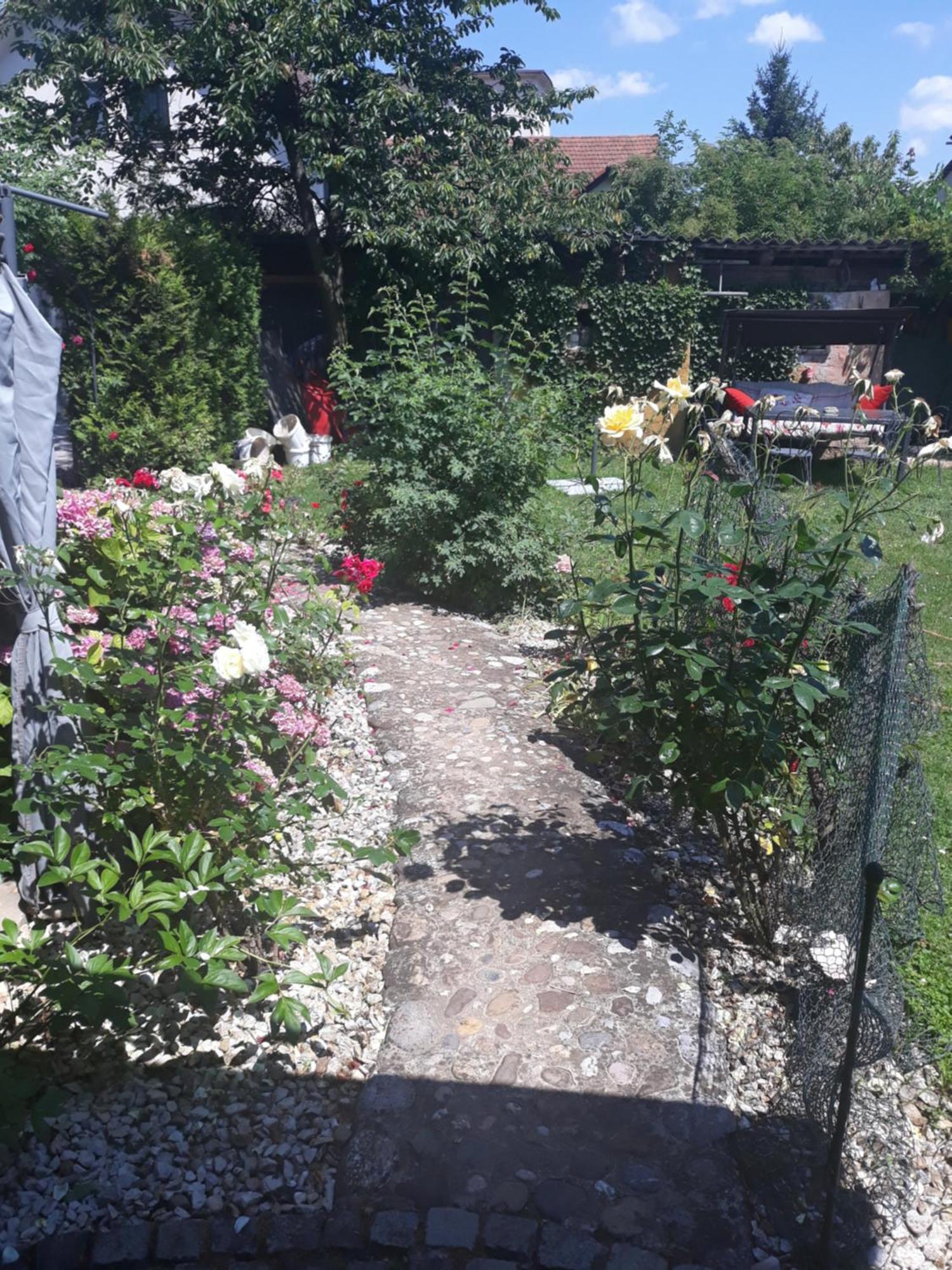 Rose Room 40M2 With Terrace 25M2 In Greeny Area For 4 Person Ljubljana Kültér fotó