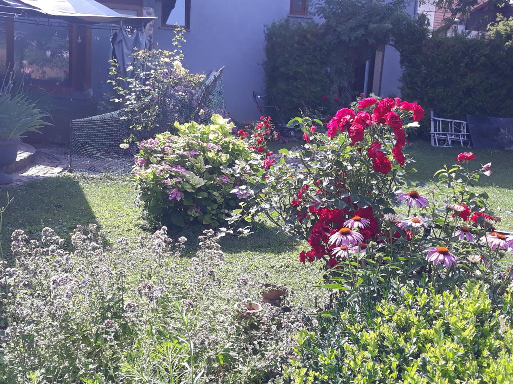 Rose Room 40M2 With Terrace 25M2 In Greeny Area For 4 Person Ljubljana Kültér fotó