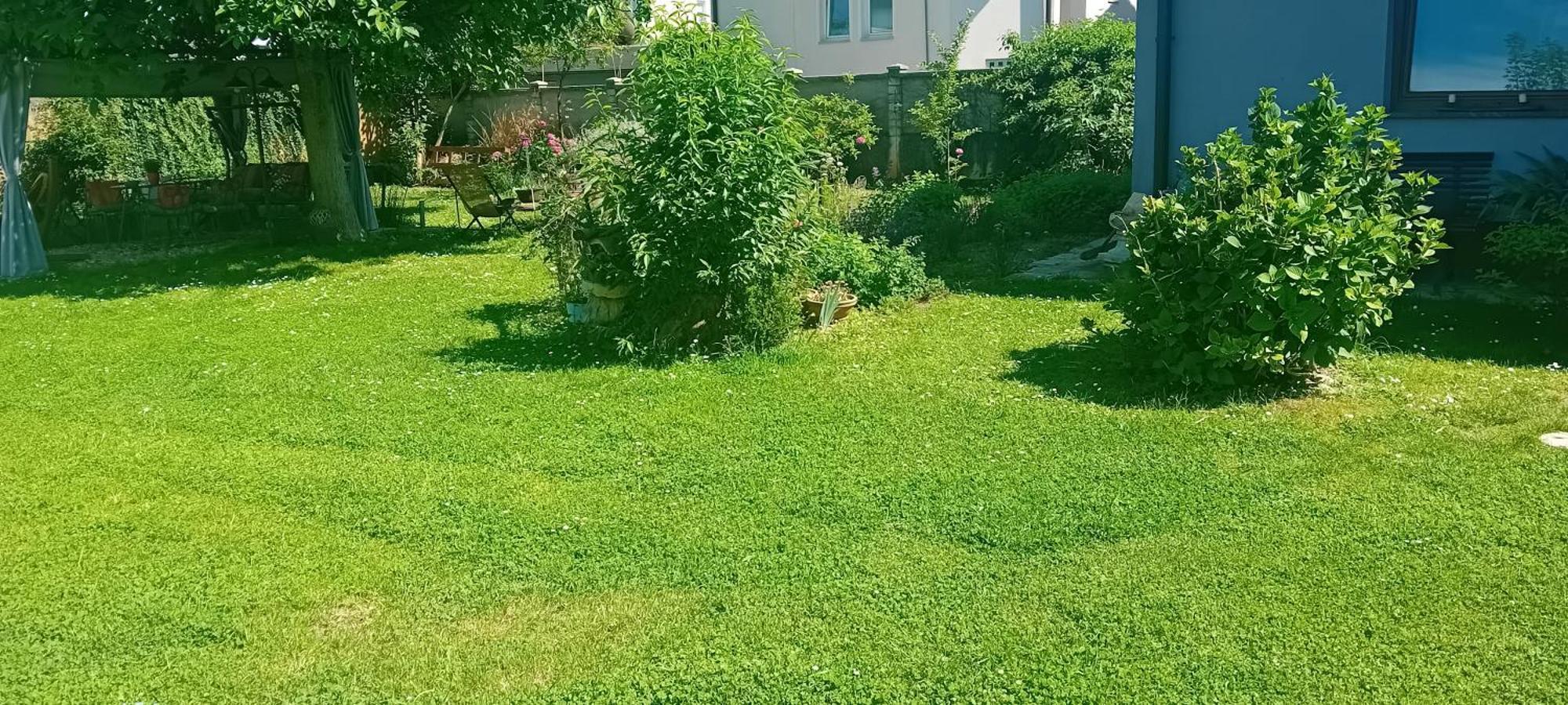 Rose Room 40M2 With Terrace 25M2 In Greeny Area For 4 Person Ljubljana Kültér fotó