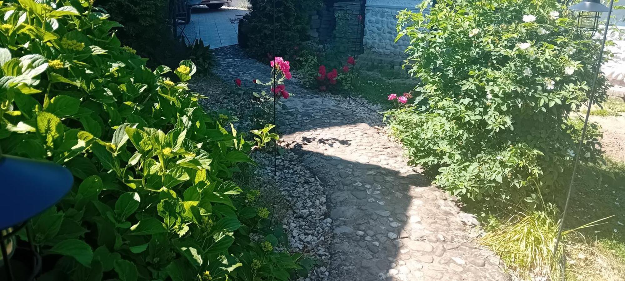 Rose Room 40M2 With Terrace 25M2 In Greeny Area For 4 Person Ljubljana Kültér fotó
